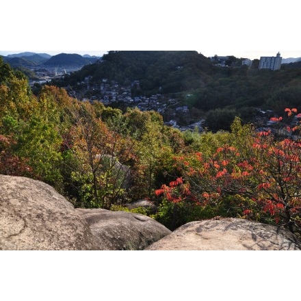 西國寺山のタンク岩から見る尾道市街地