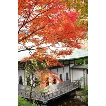 耕三寺の紅葉