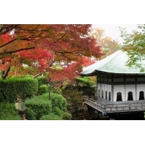 耕三寺の紅葉