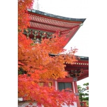 耕三寺の紅葉