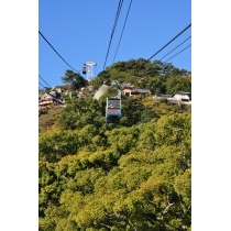 秋の千光寺山