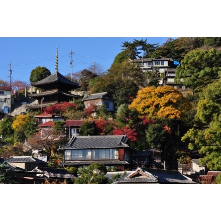 秋の千光寺山