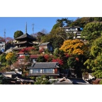 秋の千光寺山