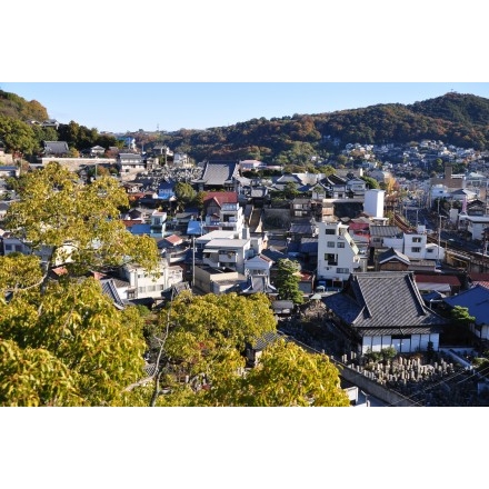 ロープウェイから見た秋の市街地