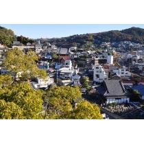 ロープウェイから見た秋の市街地