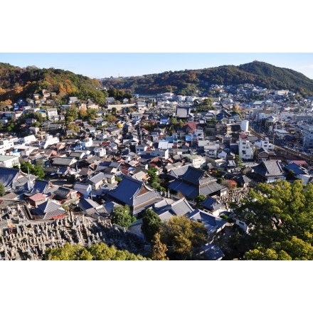 ロープウェイから見た秋の市街地