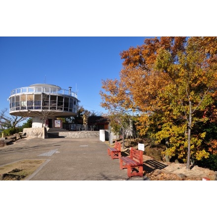 秋の千光寺公園頂上付近