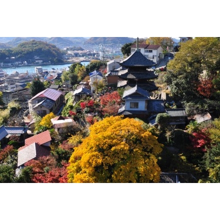 ロープウェイから見る千光寺