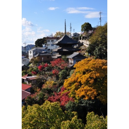 ロープウェイから見る千光寺