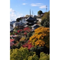ロープウェイから見る千光寺