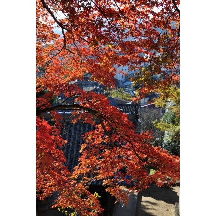 御袖天満宮の紅葉