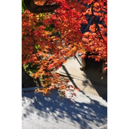 御袖天満宮の紅葉