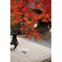 御袖天満宮の紅葉