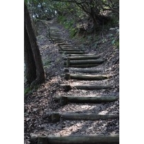 因島大橋展望園地への道