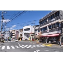 夏の尾道市街地