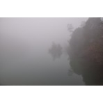 霧に包まれた八注池