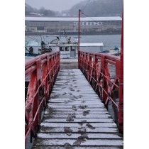 尾崎漁港の雪風景