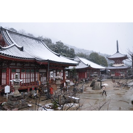 浄土寺の雪景色