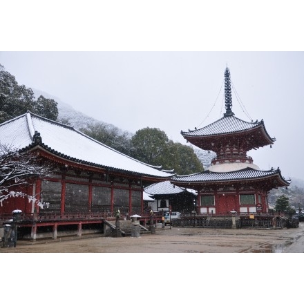 浄土寺の雪景色