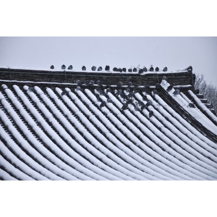 浄土寺の雪景色