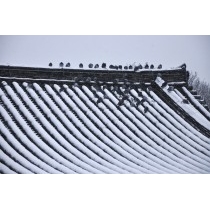 浄土寺の雪景色
