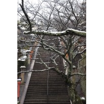 西國寺参道の雪景色