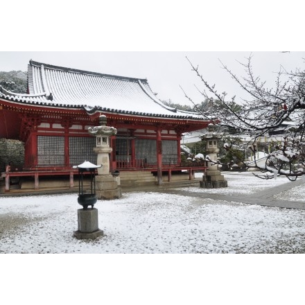 雪の西國寺金堂