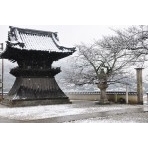 西國寺の雪風景