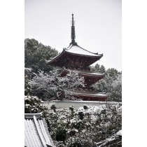 雪の西國寺三重塔