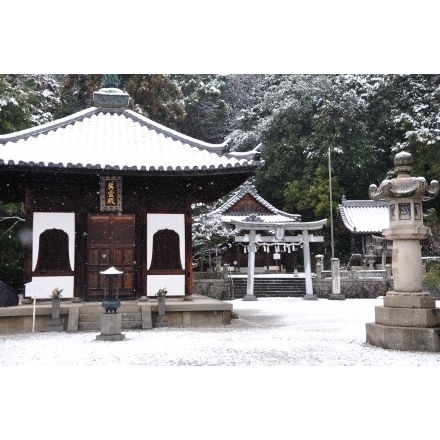 雪の西國寺境内