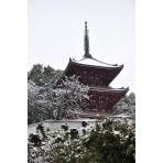 雪の西國寺三重塔