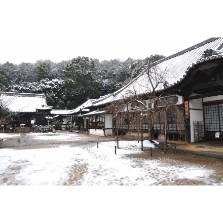 雪の西國寺境内