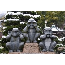 雪が積もったご猿像