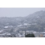 西國寺一帯の雪景色