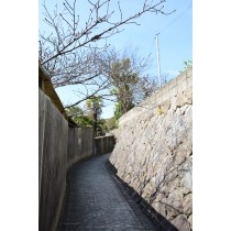 文学記念室付近の路地