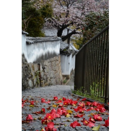 天寧寺坂の春風景