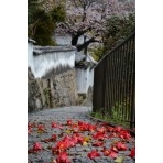 天寧寺坂の春風景