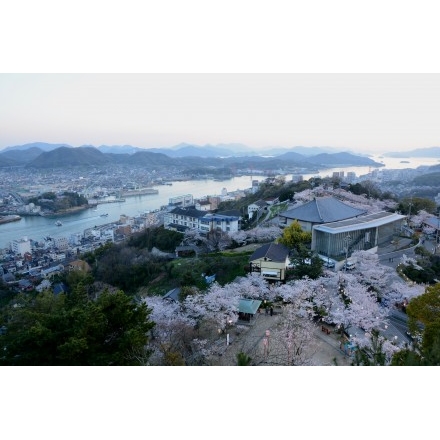 春の千光寺公園の夕景