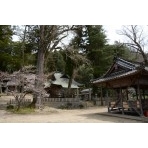 御調町大蔵地区の艮神社