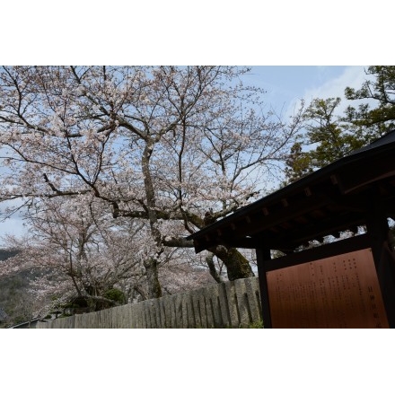 御調町大蔵地区の艮神社