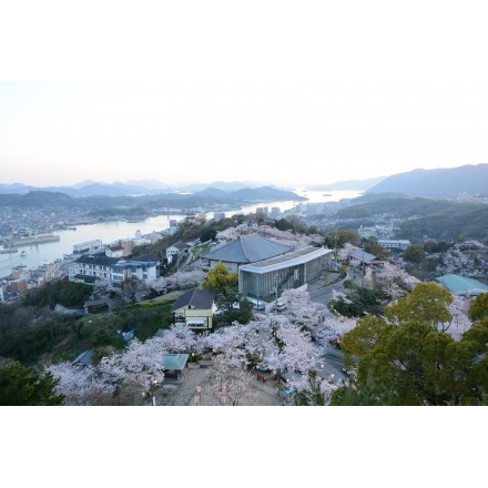 千光寺公園の桜と夕景