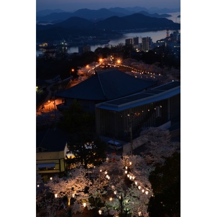 千光寺公園の桜と夜景