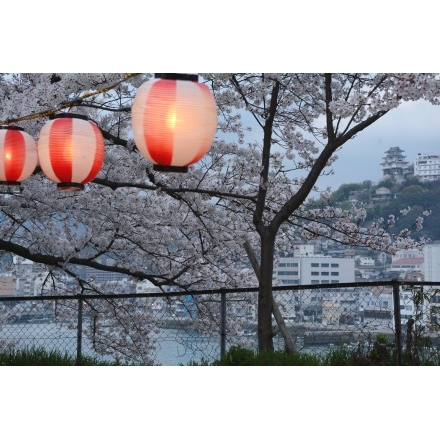 兼吉の丘の桜風景