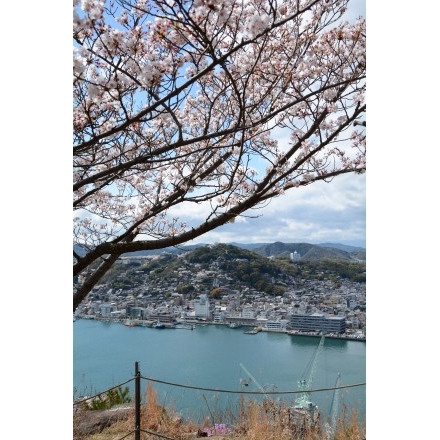 岩屋山の桜越しに見る尾道市街地