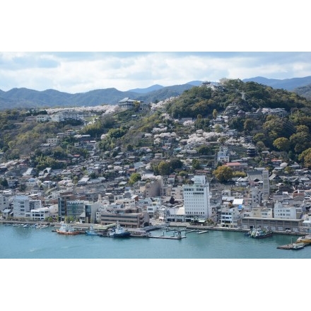 岩屋山から見る尾道の桜風景 