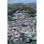 岩屋山から見る西國寺一帯の桜風景