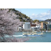 兼吉の丘の桜越しの風景
