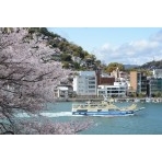 兼吉の丘の桜越しの風景