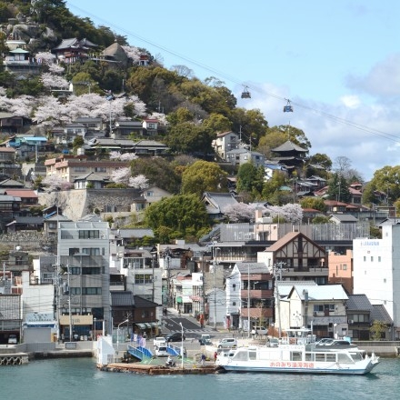 兼吉の丘から見る桜風景