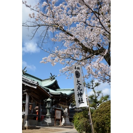 大元神社の桜